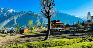 How to Reach Narkanda from Delhi